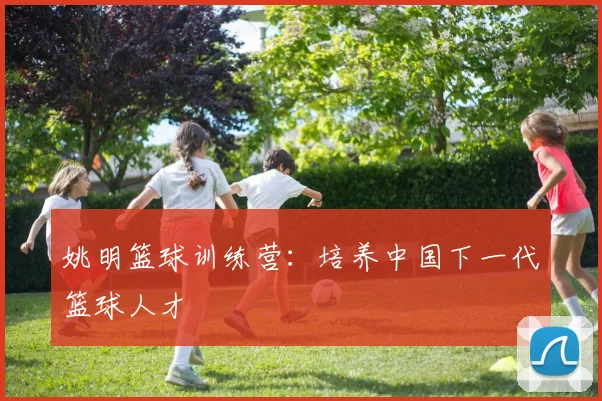 姚明篮球训练营:培养中国下一代篮球人才